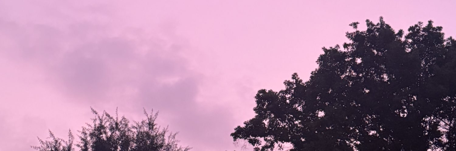 YIFF_OWO's profile banner image