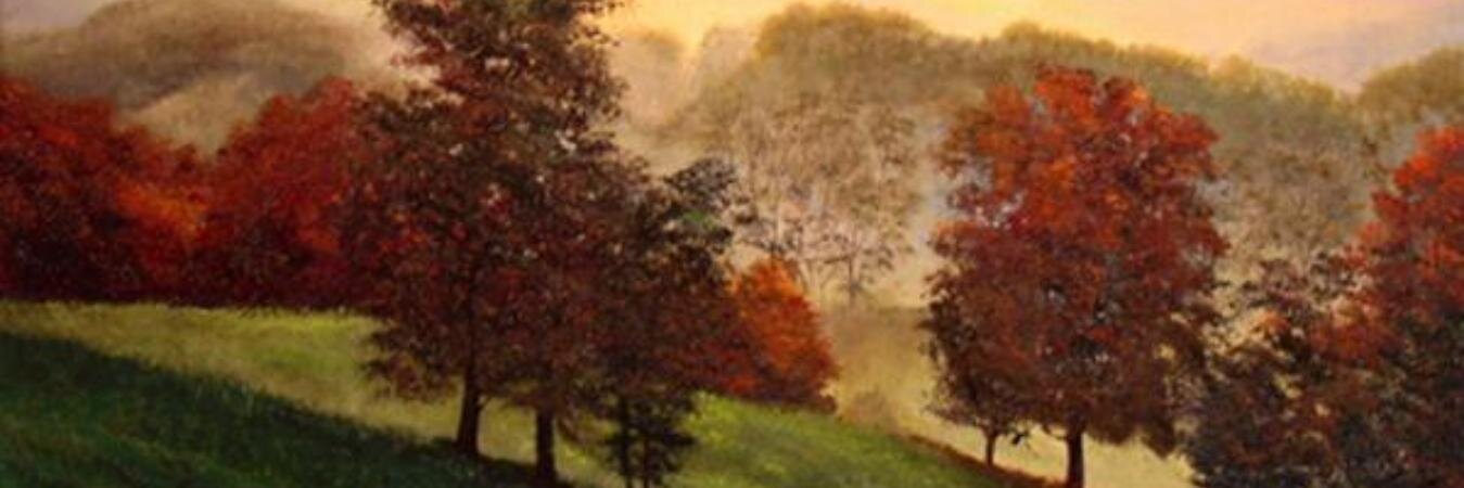 LadyGwynedd's profile banner image