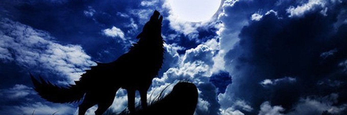 The Timberwolf Jam 🇨🇦🇺🇸🇬🇧 banner