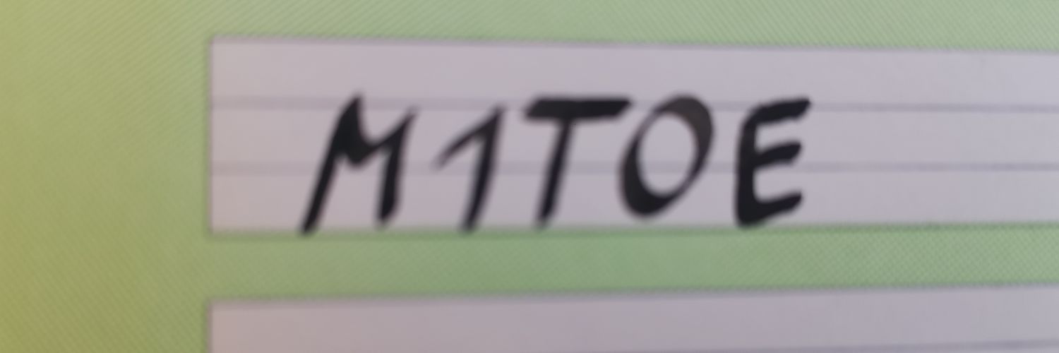 mtoe ☪️🦅 banner