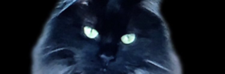 jjjhorner's profile banner image