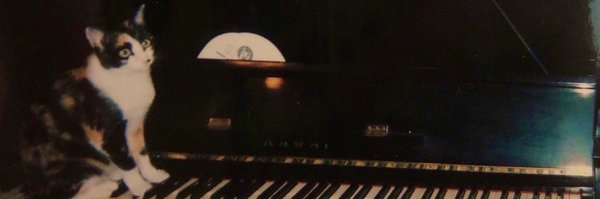 sasasoso Profile Banner