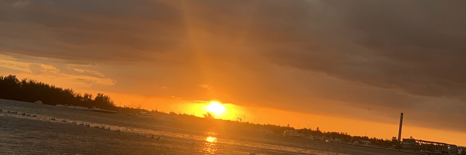 paommt's profile banner image