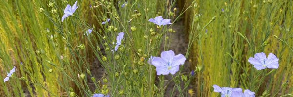 rach02822245 Profile Banner