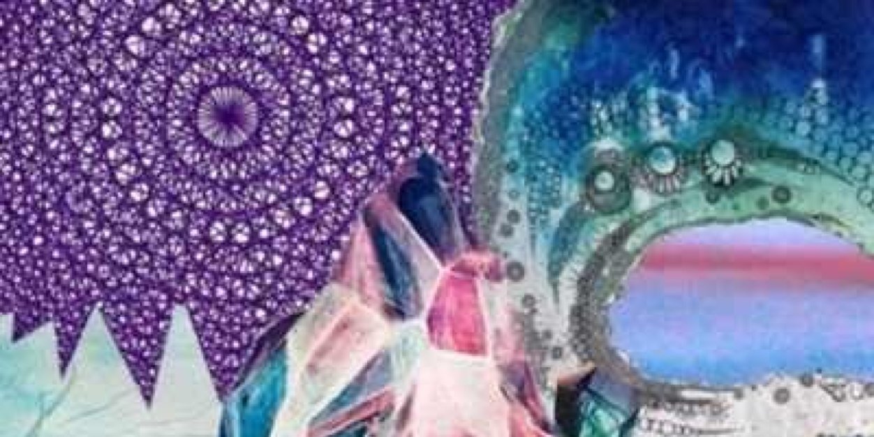 Sarah_nicohl's profile banner image