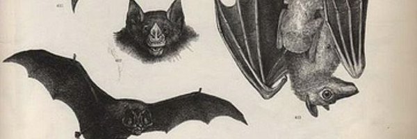 FalseClippy Profile Banner