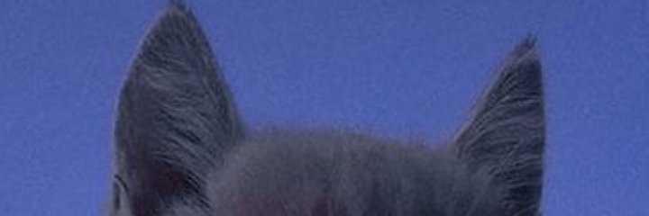 Mhdisrrzz's profile banner image
