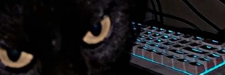 lat1 banner