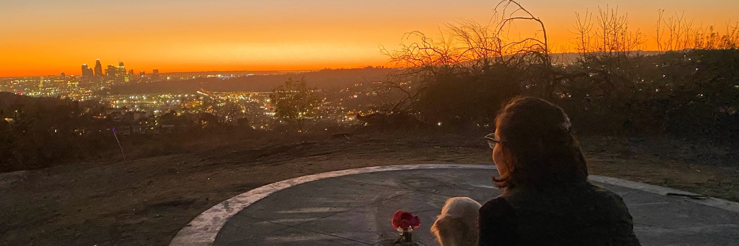 Melissa Harding banner