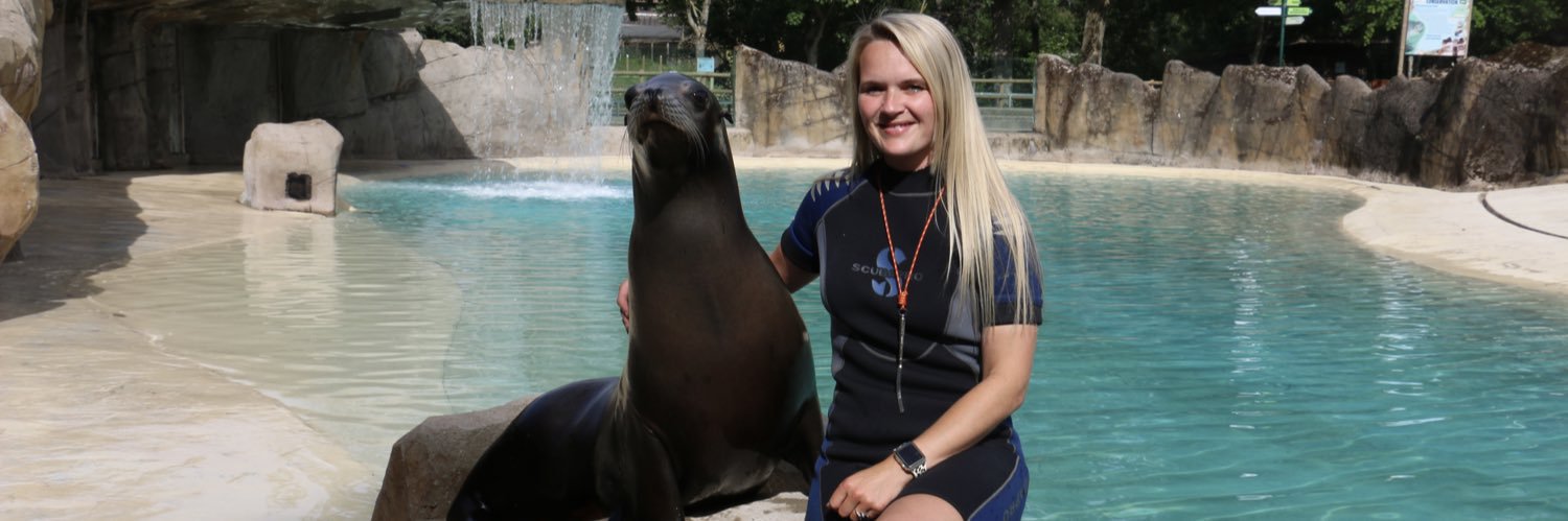 supersealsense banner