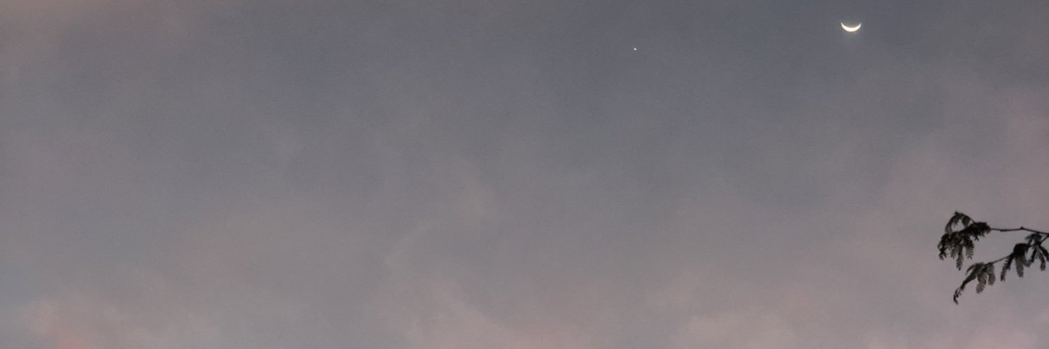 Danielallimaa's profile banner image