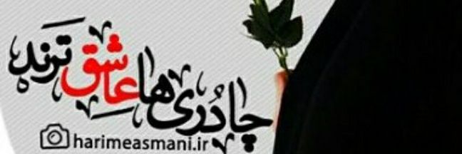 MSadatNajafi's profile banner image