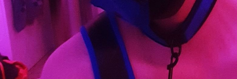 pupperJAKE's profile banner image