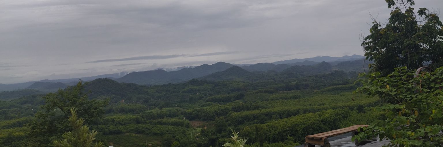 STPpying's profile banner image