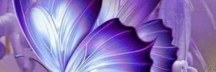 JenniferWaigwa's profile banner image