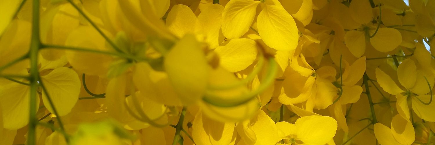 brady__m's profile banner image