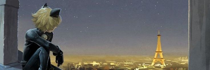 Ani_Dex's profile banner image