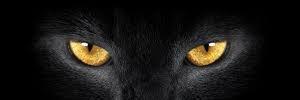 Thiarlesm's profile banner image