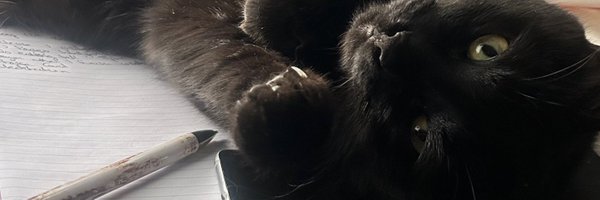 TradingMoses Profile Banner