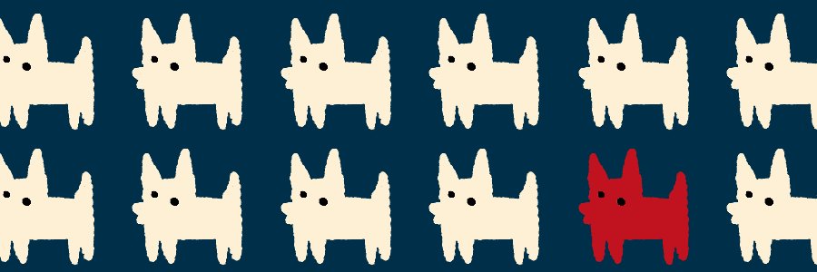 Aylish banner