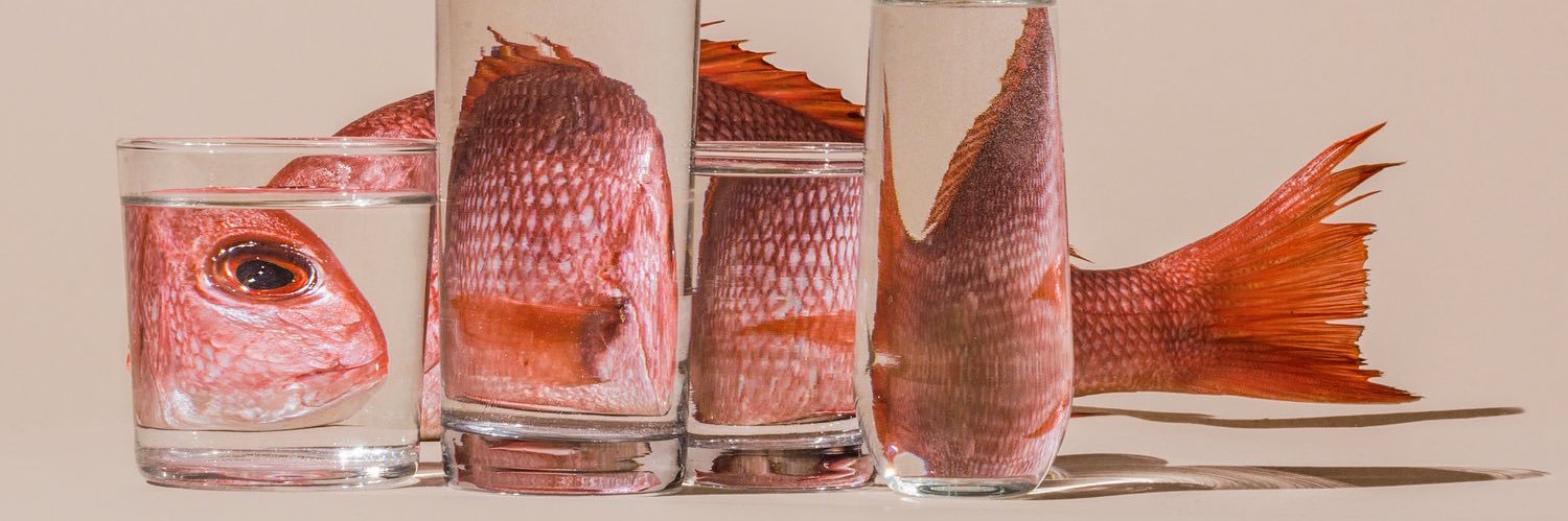 Suzanne Saroff banner