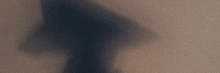 Api banner