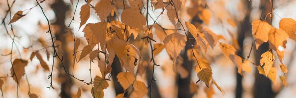 bloop_sol Profile Banner