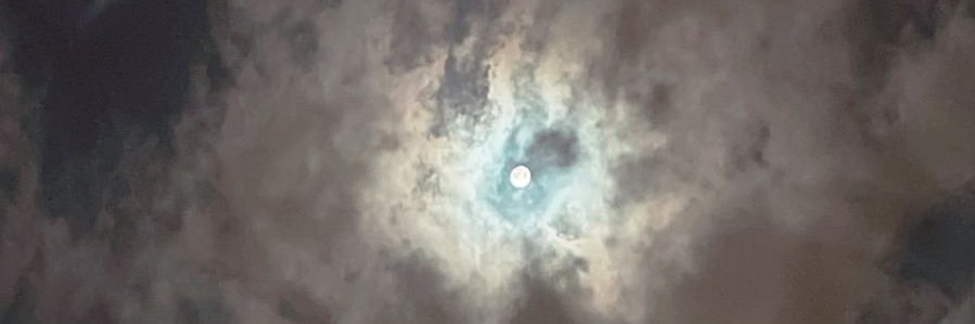 Bander bin Turki 🔬 banner