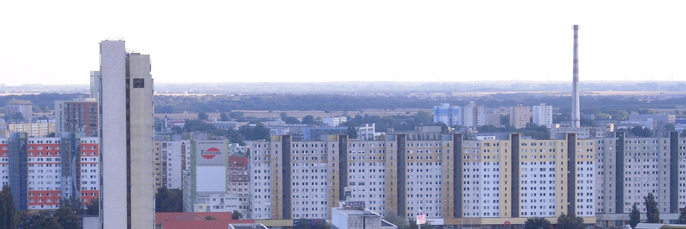 friedericke_'s profile banner image
