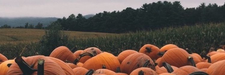 _Vanny_18's profile banner image