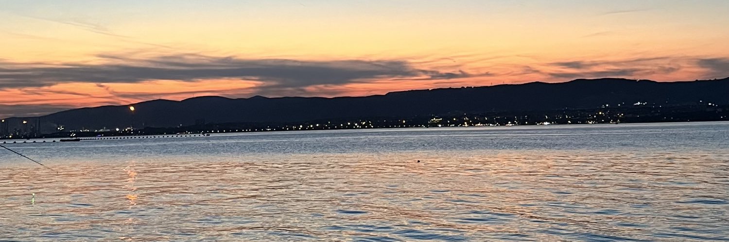 busranursngr's profile banner image