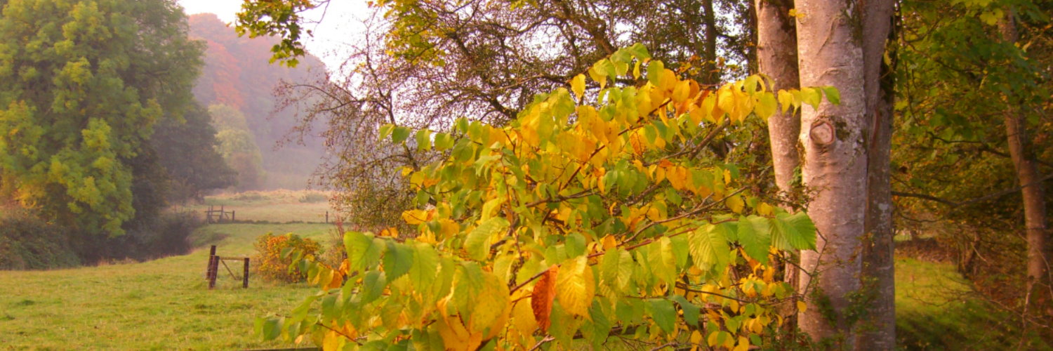 CailleachStorms's profile banner image