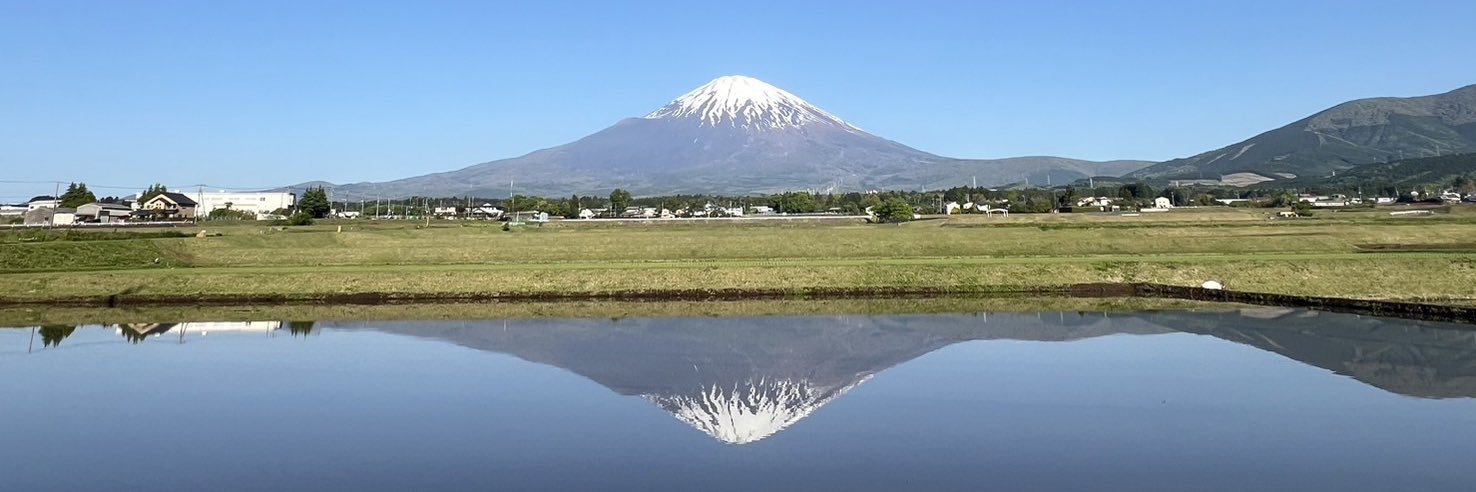 しんや banner