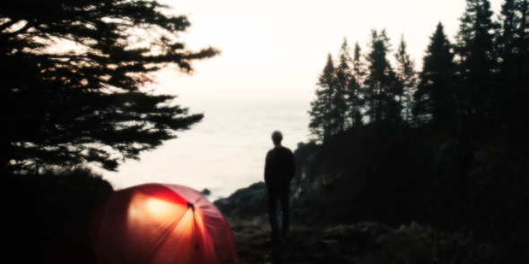 vintagelilo's profile banner image
