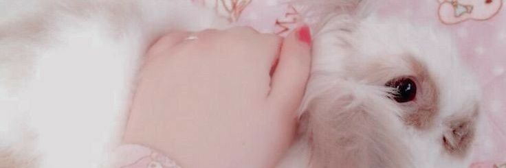 Celine3117's profile banner image