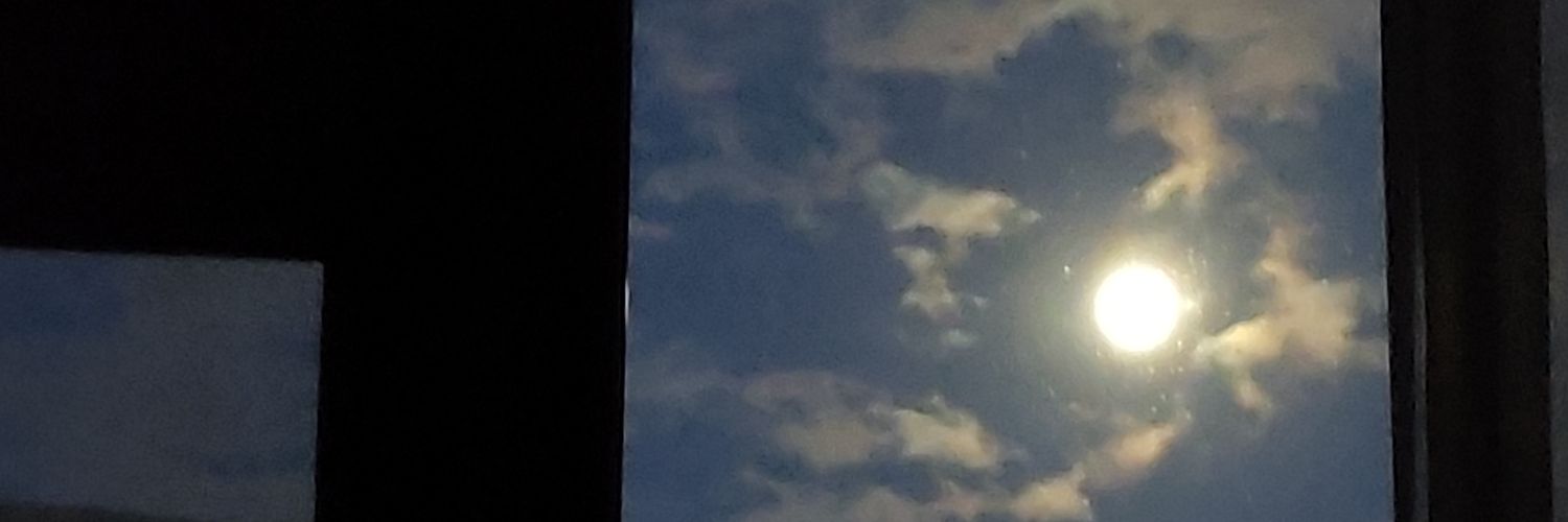 hkose95's profile banner image