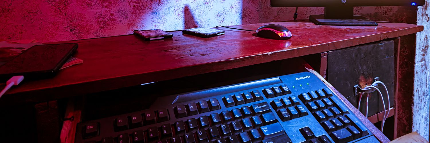 bleimascodex's profile banner image