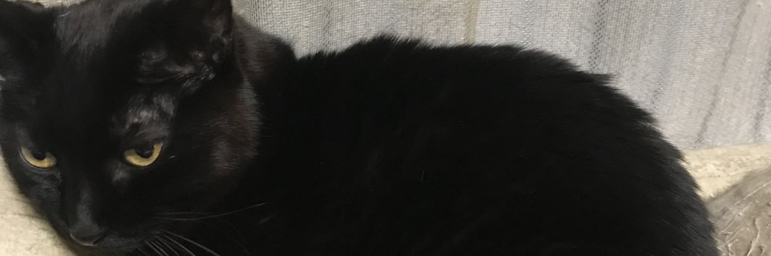 chuppoko's profile banner image