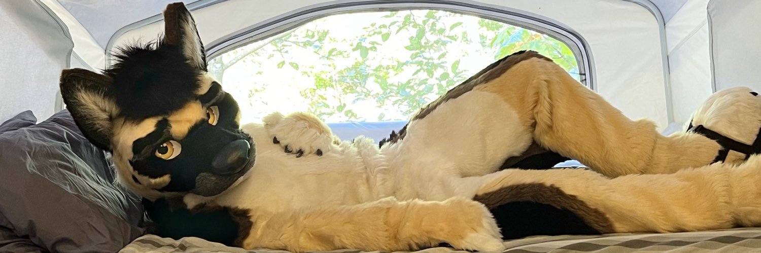 Nitro Shep 🔜 𝗙𝗪𝗔 banner