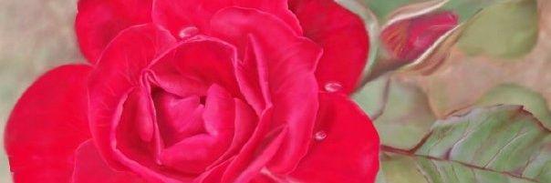 JudyCS1963's profile banner image