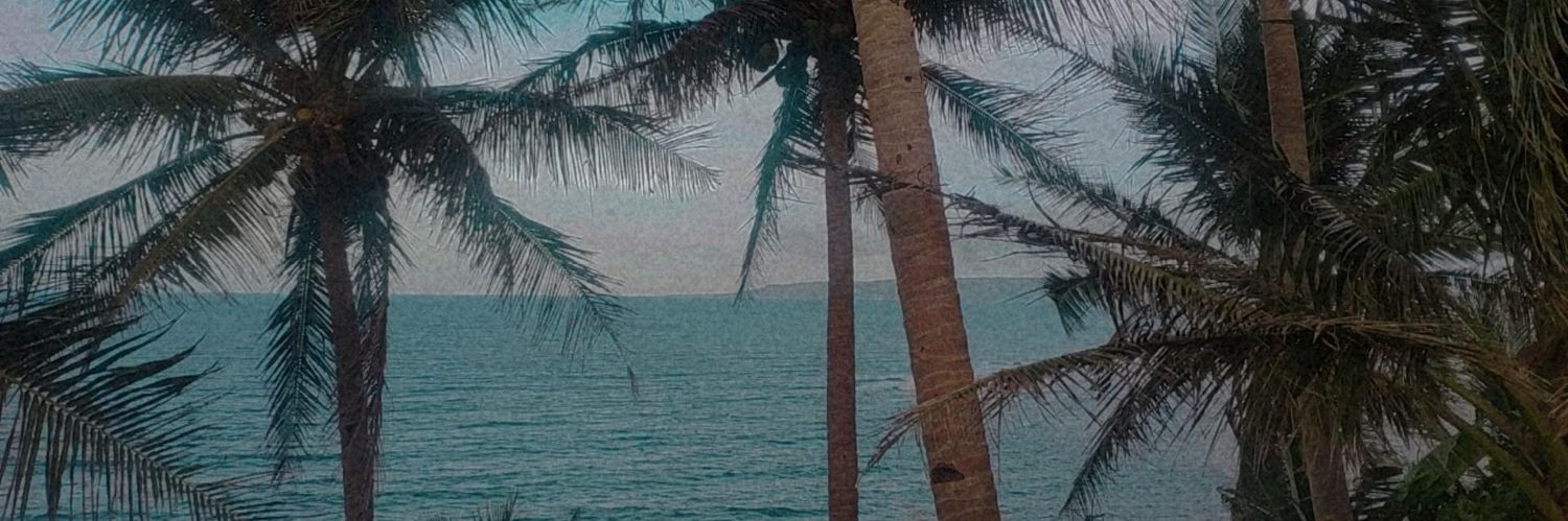 berteets's profile banner image