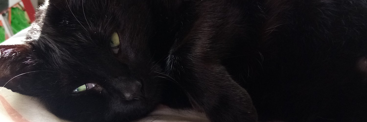 djrosco76's profile banner image