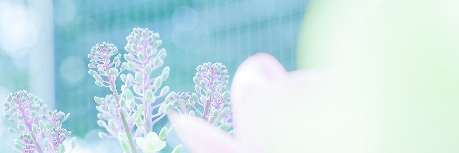 hfuruichi's profile banner image