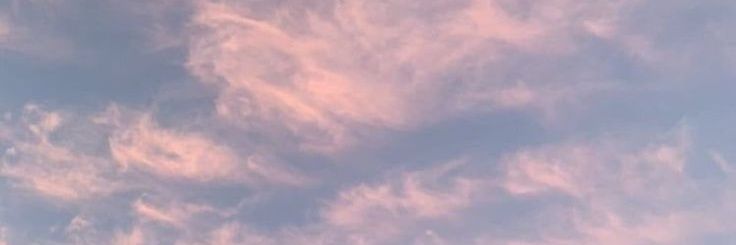 𝐁𝐞𝐥𝐥シ︎ banner