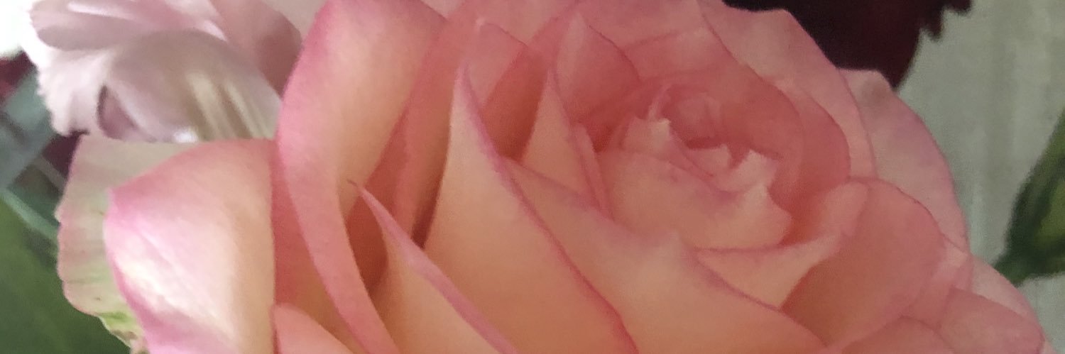 55555atu's profile banner image