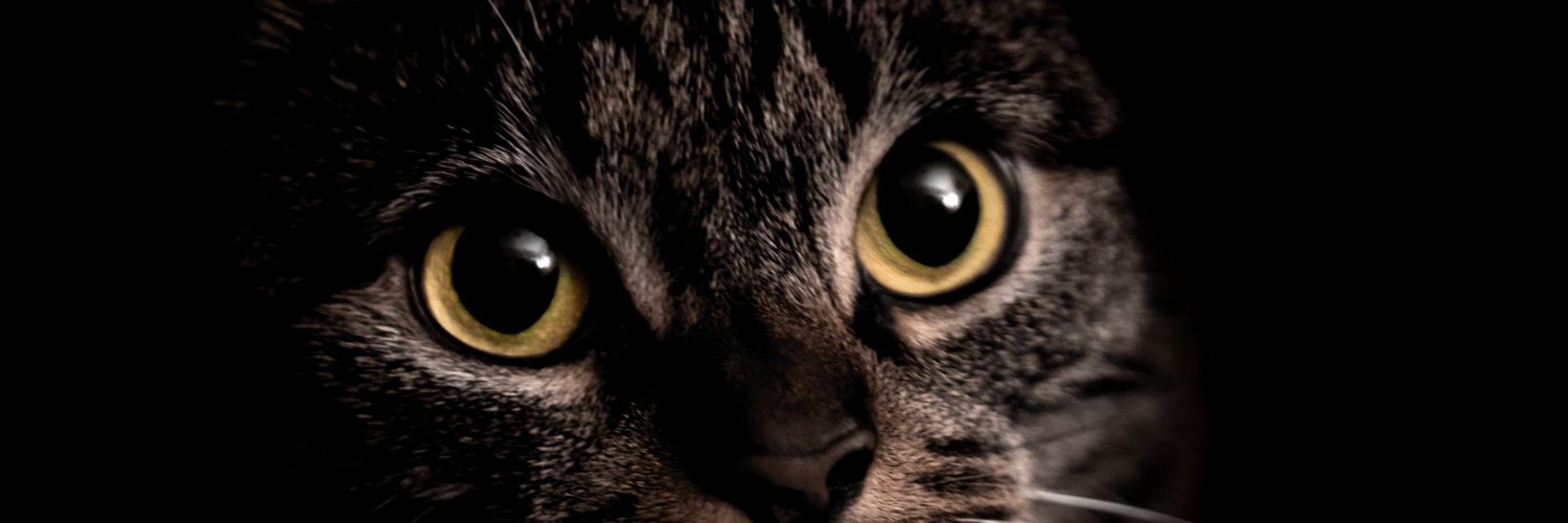 barb_jame's profile banner image