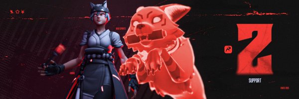 zzz_ow_ Profile Banner