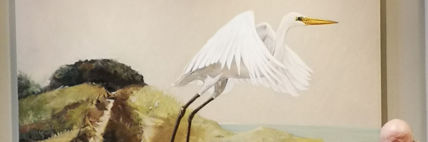 Cathal leonard banner