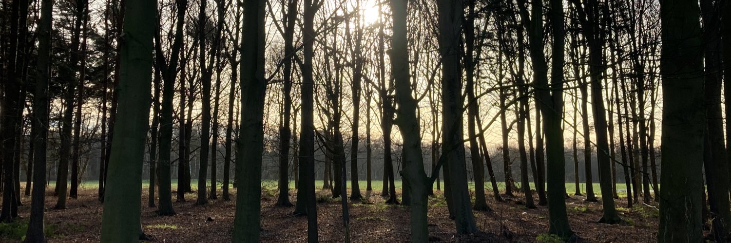 Victoria Lockie banner