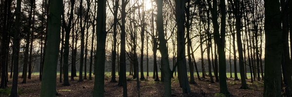 VictoriaLockie Profile Banner